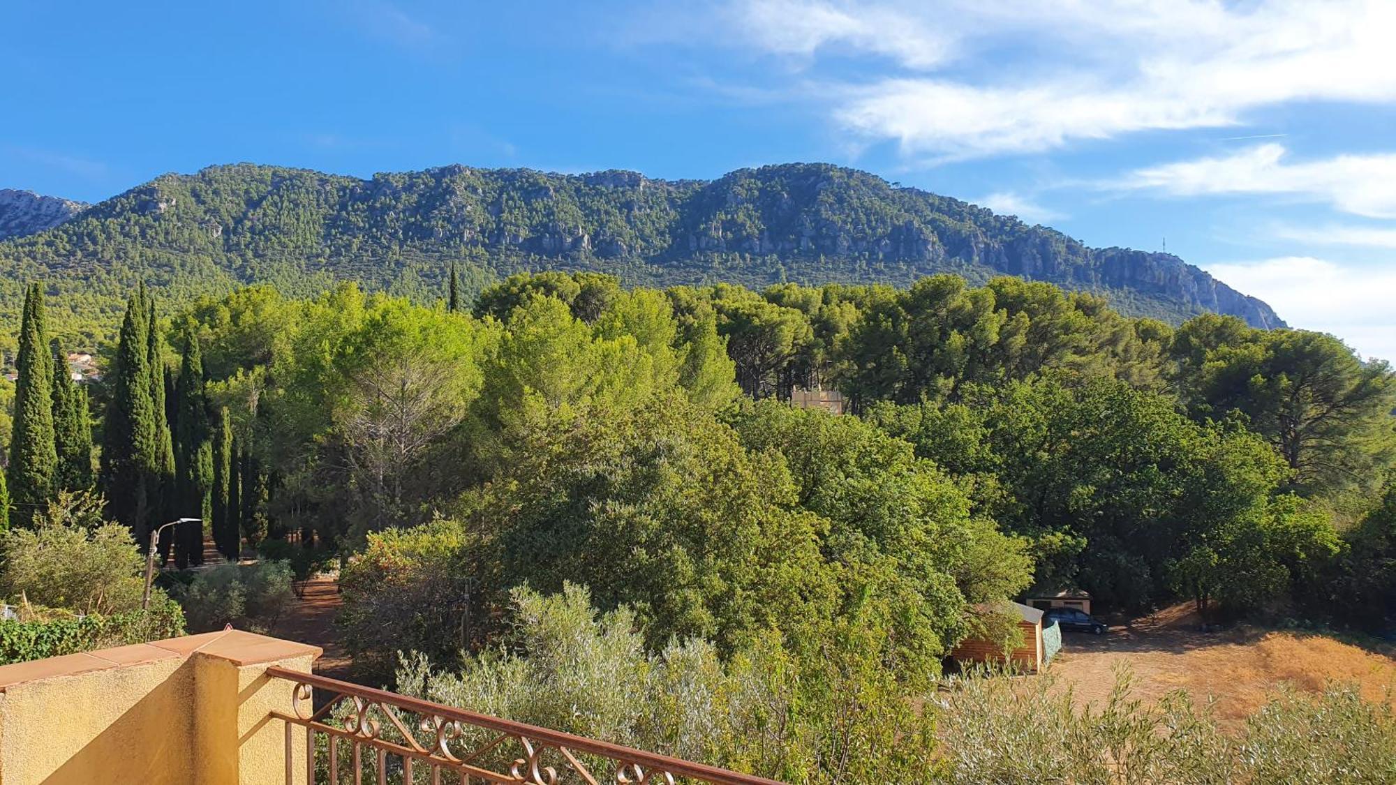 Bienvenue Daire Le Revest-le-Eaux Dış mekan fotoğraf